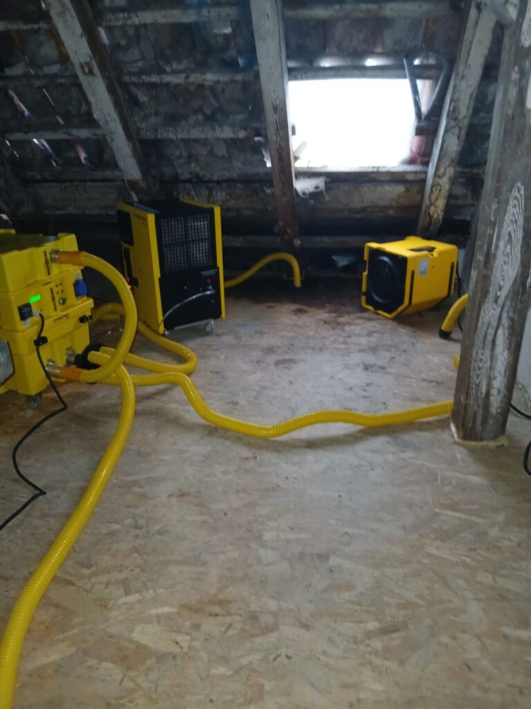 img 20251223 wa0001 easy resize.com