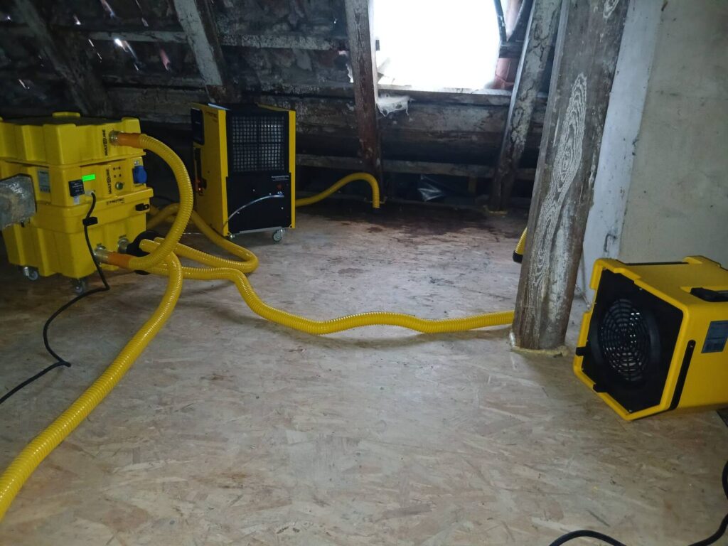 img 20251223 wa0004 easy resize.com